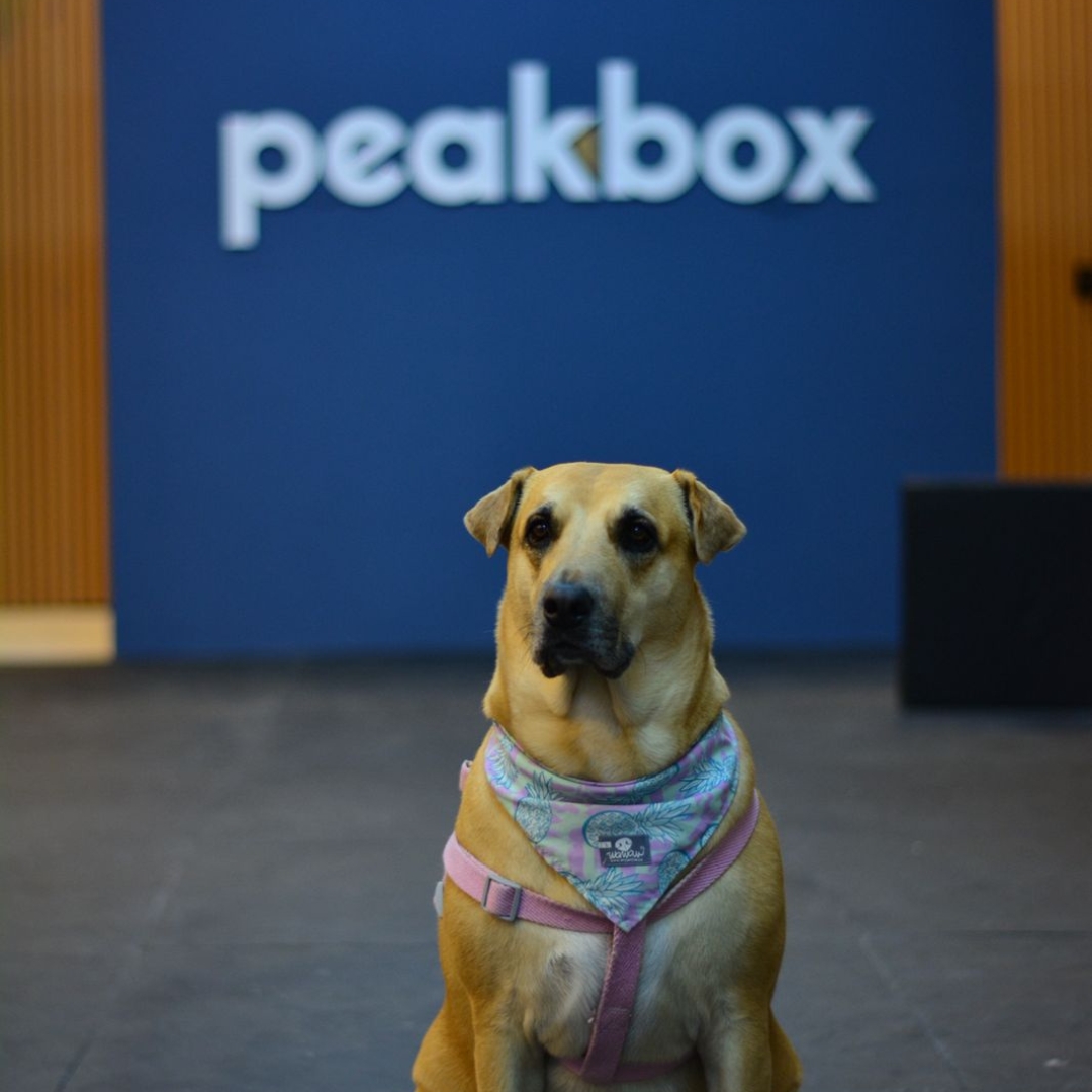 Imagen 3 del gimnasio